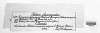 Taphrina deformans image
